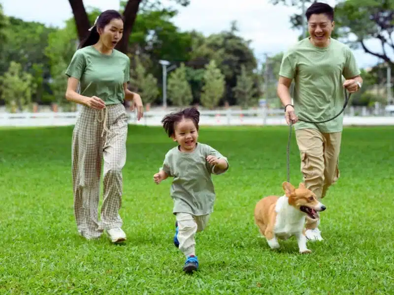 Quality of Life Considerations